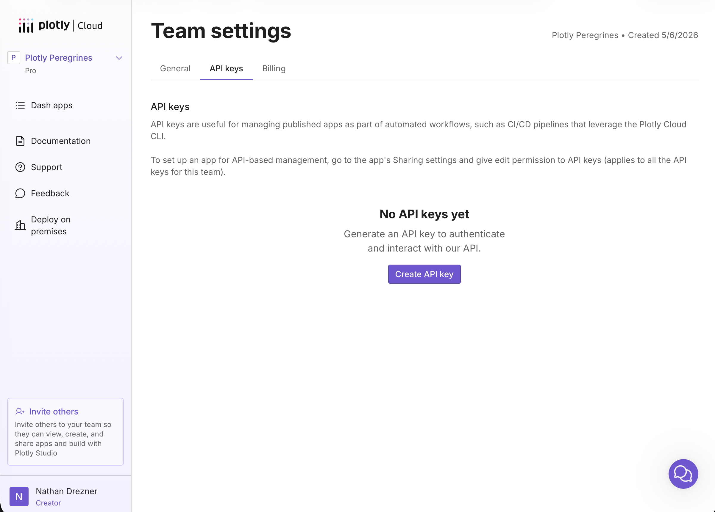 Team settings with the API Keys tab selected